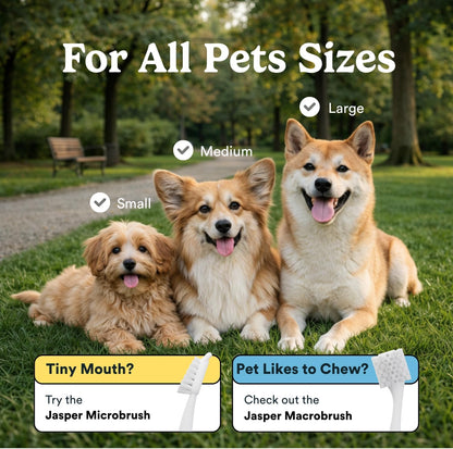 Dog Toothbrush, 360° Finger Toothbrush for Dogs & Cats, Blue 2-Pack